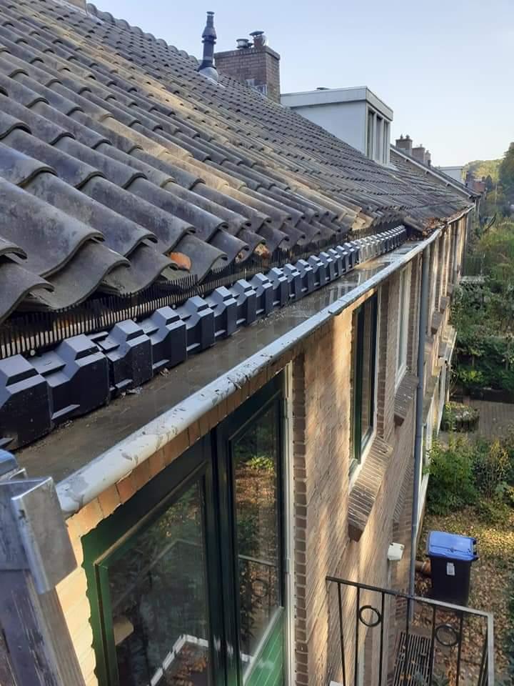 vogelwering plaatsen dakdekker vogeloverlast dak